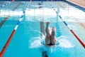 Swimmer plunging in the pool Royalty Free Stock Photo