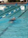 Swimmer in pool Royalty Free Stock Photo