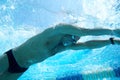 Swimmer in the swimming pool