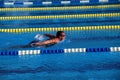 Swimmer in the swimming pool