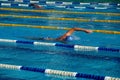 Swimmer in the swimming pool