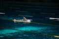 Swimmer swims freestyle in the pool in beautiful sunlight Royalty Free Stock Photo