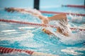 Swimmer swims freestyle swimming style in the pool