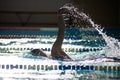 Swimmer swims freestyle swimming style in the pool Royalty Free Stock Photo