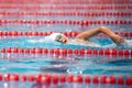 Swimmer swims freestyle swimming style in the pool Royalty Free Stock Photo