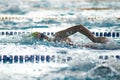 Swimmer swims freestyle swimming style in the pool Royalty Free Stock Photo