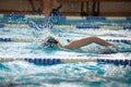 Swimmer swims freestyle swimming style in the pool Royalty Free Stock Photo