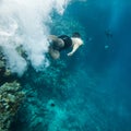 Swimmer underwater Royalty Free Stock Photo