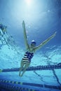 Swimmer Wearing U.S Swimsuit In Pool Royalty Free Stock Photo