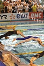 Swimmers diving