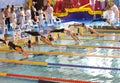 Swimmers diving into swimming pool