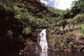 Swimmers at falls