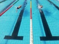 swimmers in lane pool, men in water Royalty Free Stock Photo