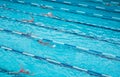 Swimmers at the outdoor pool training