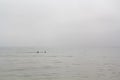 Swimmers at sea on foggy day