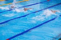 Swimmers using the butterfly technique racing in a competitive swimming pool, creating splashes as they move powerfully through Royalty Free Stock Photo