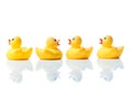 Swimming against the stream, rubber ducks on white Royalty Free Stock Photo