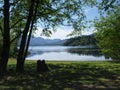 Swimming area at Gordon Bay, Lake Cowichan Royalty Free Stock Photo