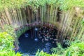Swimming at Cenote Ik Kil in Yucatan, Mexico Royalty Free Stock Photo