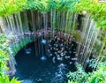 Swimming at a Cenote Waterhole in Yucatan, Mexico Royalty Free Stock Photo