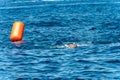 Swimming competition in Mediterranean sea - Tellaro La Spezia Liguria Italy Royalty Free Stock Photo