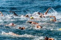 Swimming competition - Mediterranean sea - Tellaro La Spezia Liguria Italy Royalty Free Stock Photo