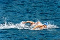 Swimming competition in Mediterranean sea - Tellaro La Spezia Liguria Italy Royalty Free Stock Photo