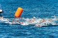 Swimming competition in the sea - Tellaro La Spezia Liguria Italy Royalty Free Stock Photo