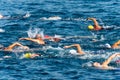 Swimming competition in the sea - Tellaro La Spezia Liguria Italy Royalty Free Stock Photo