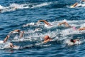 Swimming competition in the sea - Tellaro La Spezia Liguria Italy Royalty Free Stock Photo