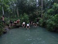 Swimming Contest at small river