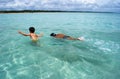 Swimming in crystalline clear waters sea in Brazil