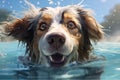 Swimming dog in a pool swimming