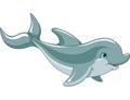 Swimming Dolphin Royalty Free Stock Photo
