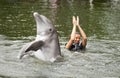 Swimming with dolphin Royalty Free Stock Photo