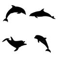 Swimming dolphins silhouette vector