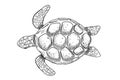 Swimming engraving sea turtle isolated on white background. Hand drawn monochrome illustration Royalty Free Stock Photo