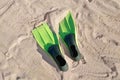 Swimming fins on a beach Royalty Free Stock Photo