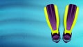 Swimming flippers under the water. Vector Royalty Free Stock Photo