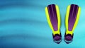 Swimming flippers under the water. Vector