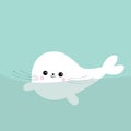 Swimming floating harp baby seal pup. Cute cartoon character. Happy baby animal collection. Sea ocean water. Blue background. Flat