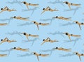 Swimming Freestyle Vector Illustration Seamless Background Wallpaper Pattern-01