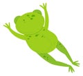 Swimming frog top view. Cute animal back Royalty Free Stock Photo