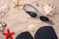 Swimming goggles and flippers on the sand with shells and starfishes. Royalty Free Stock Photo