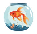 Swimming goldfish in fishbowl, nature decoration freedom Royalty Free Stock Photo