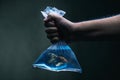 Swimming goldfish in a plastic bag filled with clean blue water under water scene. Environmental pollution, micro plastic and