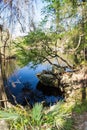 Swimming Hole in the Suwanee River.