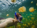 Swimming in Jelly Fish Lake