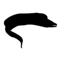 Swimming Moral Eel Muraenidae On a Side View Silhouette Found In Map Of Ocean All Around The World