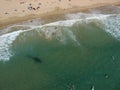 Swimming People on a Beach